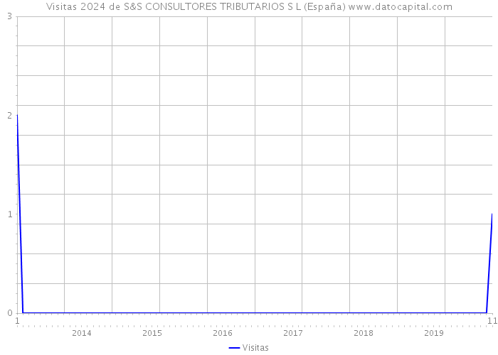 Visitas 2024 de S&S CONSULTORES TRIBUTARIOS S L (España) 