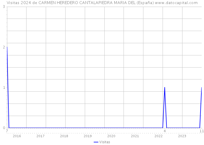 Visitas 2024 de CARMEN HEREDERO CANTALAPIEDRA MARIA DEL (España) 