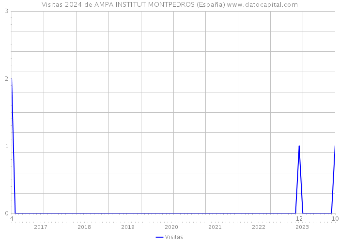 Visitas 2024 de AMPA INSTITUT MONTPEDROS (España) 