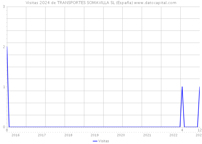 Visitas 2024 de TRANSPORTES SOMAVILLA SL (España) 