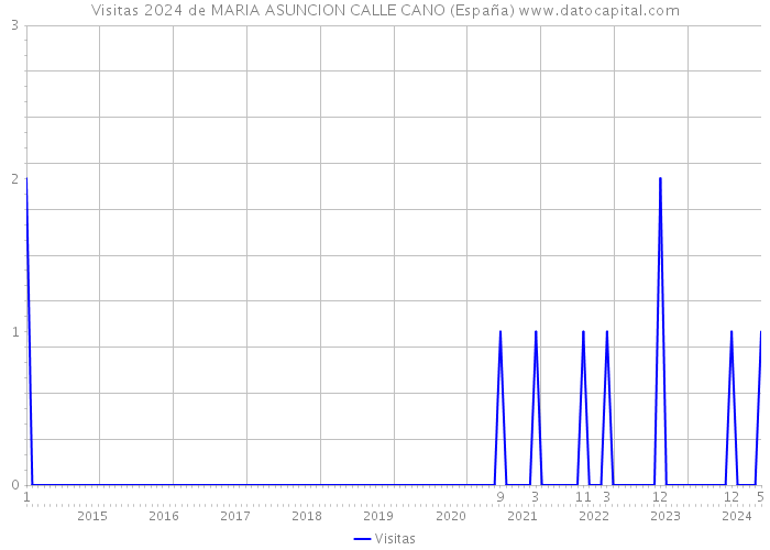 Visitas 2024 de MARIA ASUNCION CALLE CANO (España) 
