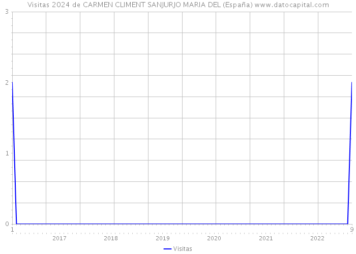 Visitas 2024 de CARMEN CLIMENT SANJURJO MARIA DEL (España) 