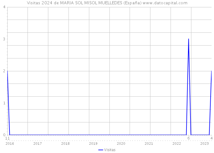 Visitas 2024 de MARIA SOL MISOL MUELLEDES (España) 