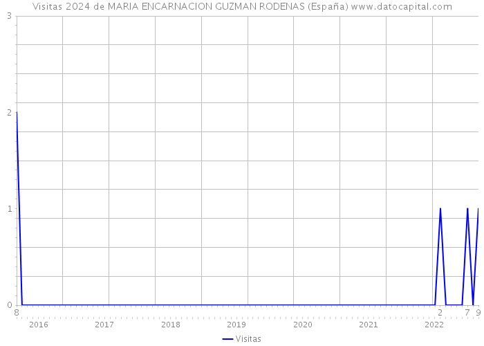 Visitas 2024 de MARIA ENCARNACION GUZMAN RODENAS (España) 