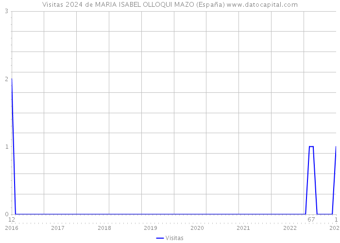 Visitas 2024 de MARIA ISABEL OLLOQUI MAZO (España) 