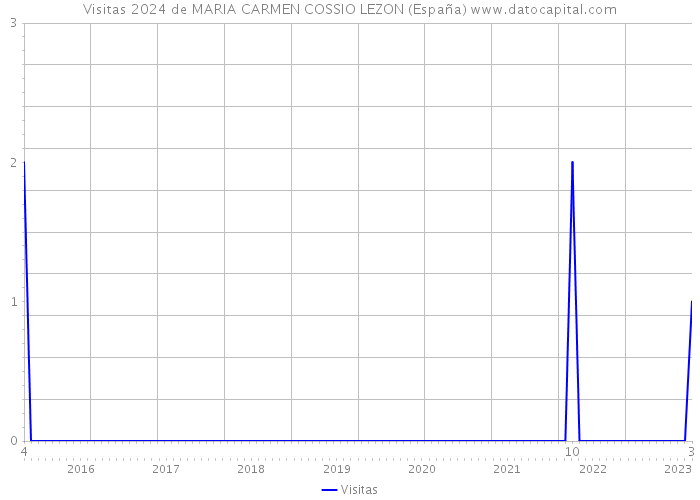 Visitas 2024 de MARIA CARMEN COSSIO LEZON (España) 