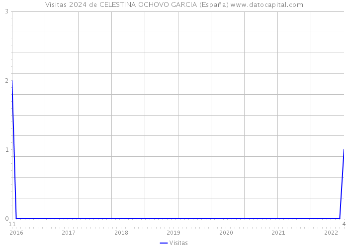 Visitas 2024 de CELESTINA OCHOVO GARCIA (España) 