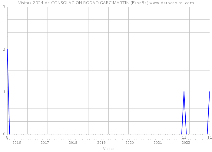 Visitas 2024 de CONSOLACION RODAO GARCIMARTIN (España) 