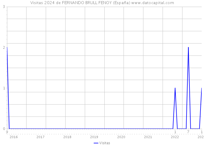 Visitas 2024 de FERNANDO BRULL FENOY (España) 