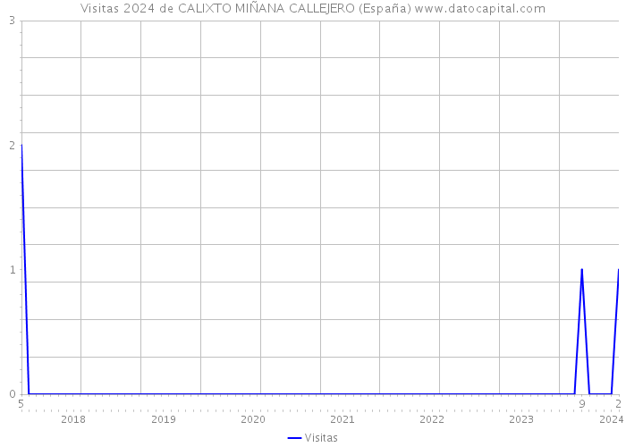Visitas 2024 de CALIXTO MIÑANA CALLEJERO (España) 