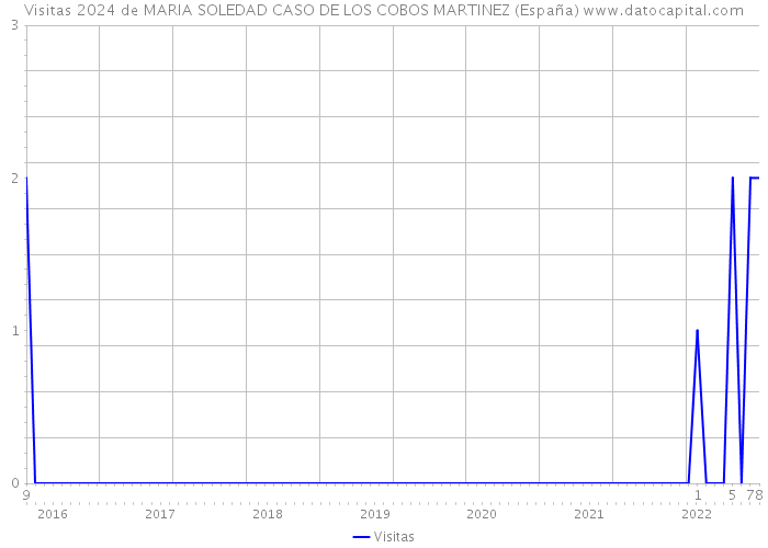 Visitas 2024 de MARIA SOLEDAD CASO DE LOS COBOS MARTINEZ (España) 