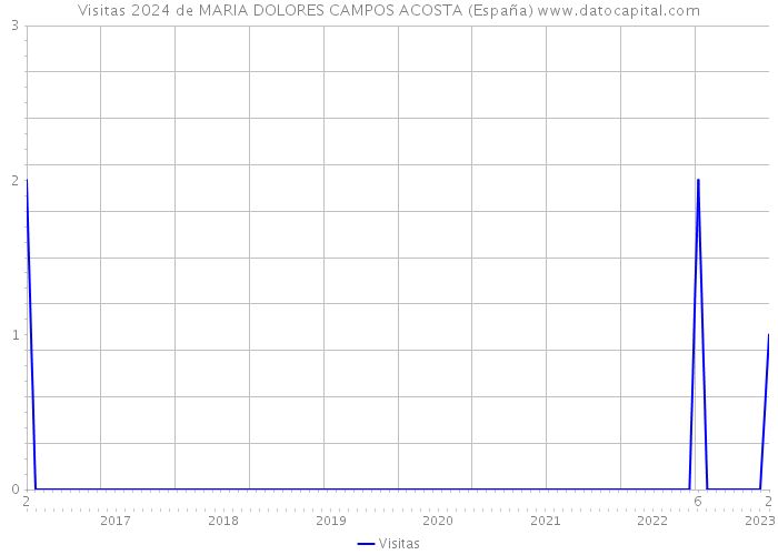 Visitas 2024 de MARIA DOLORES CAMPOS ACOSTA (España) 