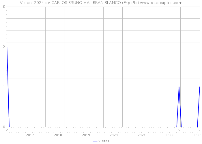 Visitas 2024 de CARLOS BRUNO MALIBRAN BLANCO (España) 