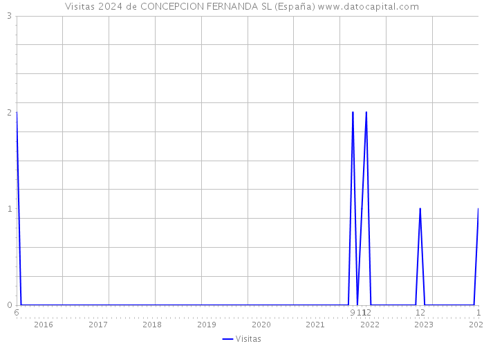 Visitas 2024 de CONCEPCION FERNANDA SL (España) 