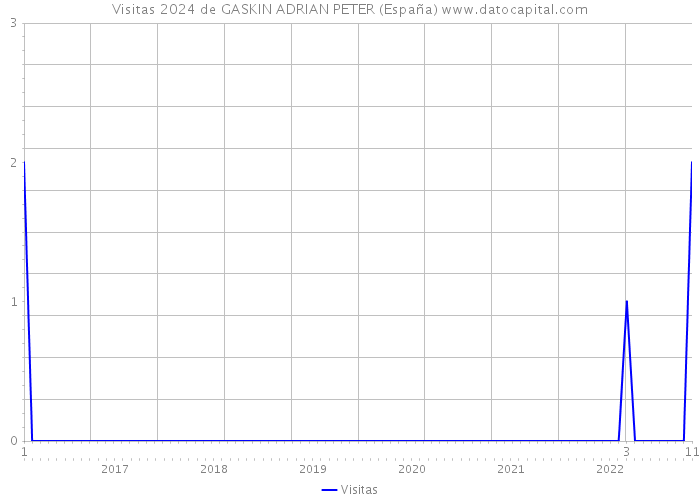 Visitas 2024 de GASKIN ADRIAN PETER (España) 