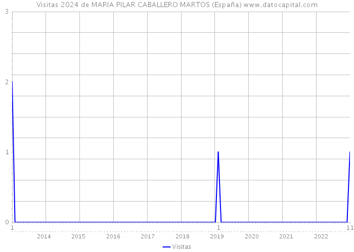 Visitas 2024 de MARIA PILAR CABALLERO MARTOS (España) 