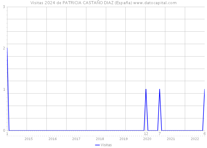 Visitas 2024 de PATRICIA CASTAÑO DIAZ (España) 