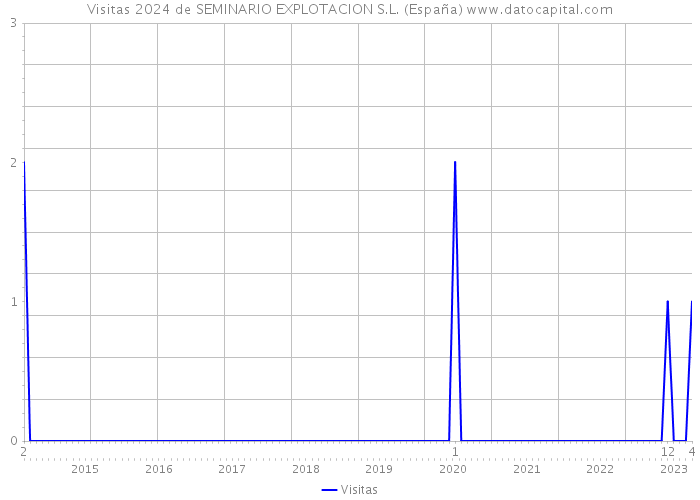 Visitas 2024 de SEMINARIO EXPLOTACION S.L. (España) 