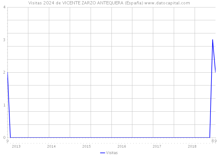 Visitas 2024 de VICENTE ZARZO ANTEQUERA (España) 