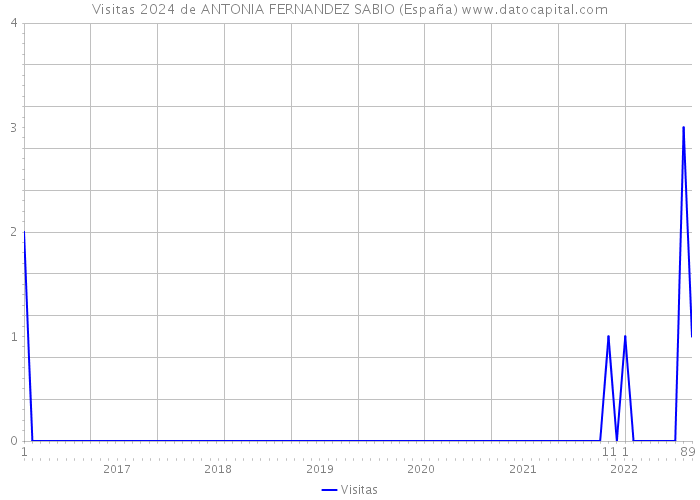 Visitas 2024 de ANTONIA FERNANDEZ SABIO (España) 
