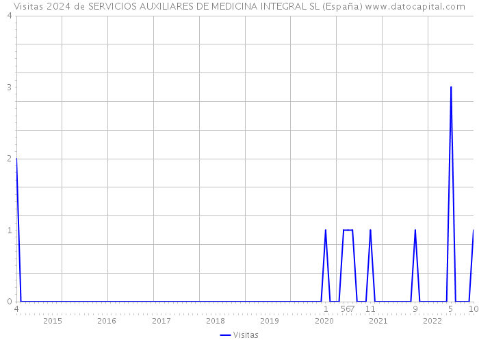 Visitas 2024 de SERVICIOS AUXILIARES DE MEDICINA INTEGRAL SL (España) 