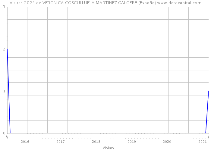 Visitas 2024 de VERONICA COSCULLUELA MARTINEZ GALOFRE (España) 
