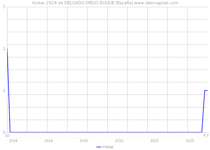 Visitas 2024 de DELGADO DIEGO DUQUE (España) 
