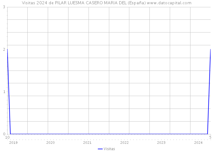 Visitas 2024 de PILAR LUESMA CASERO MARIA DEL (España) 