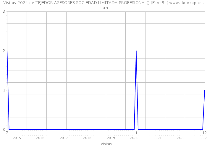 Visitas 2024 de TEJEDOR ASESORES SOCIEDAD LIMITADA PROFESIONAL() (España) 