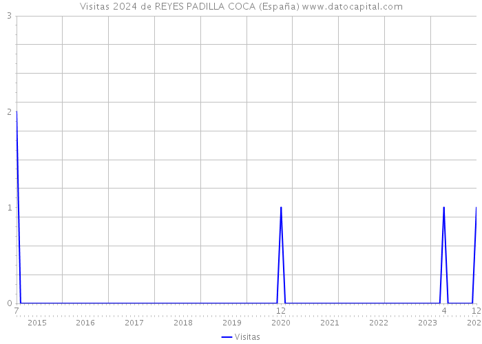Visitas 2024 de REYES PADILLA COCA (España) 