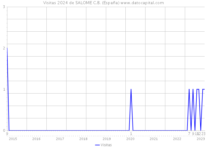 Visitas 2024 de SALOME C.B. (España) 