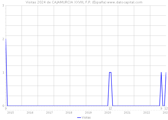 Visitas 2024 de CAJAMURCIA XXVIII, F.P. (España) 