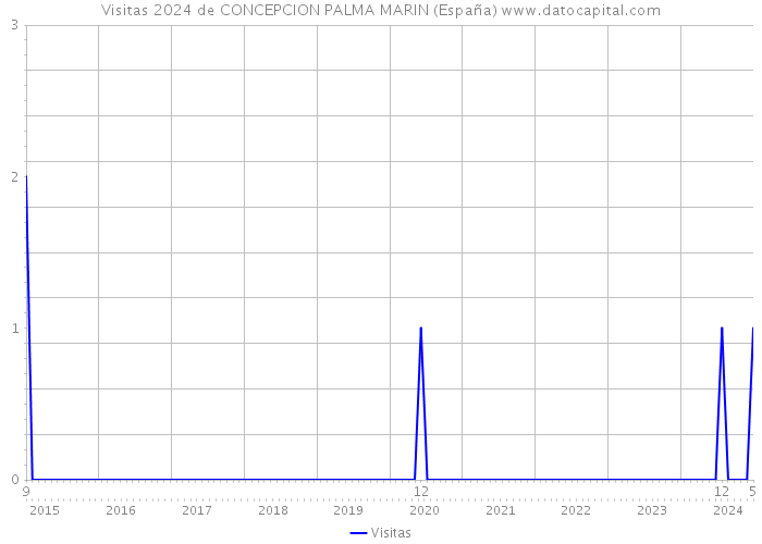 Visitas 2024 de CONCEPCION PALMA MARIN (España) 