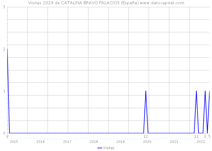 Visitas 2024 de CATALINA BRAVO PALACIOS (España) 