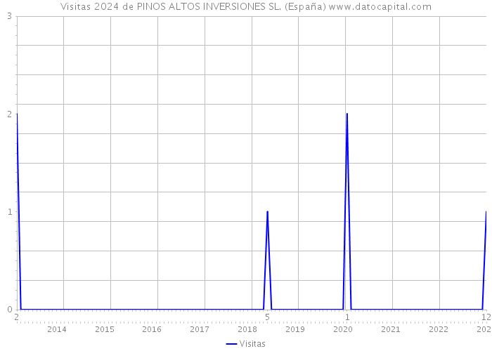 Visitas 2024 de PINOS ALTOS INVERSIONES SL. (España) 