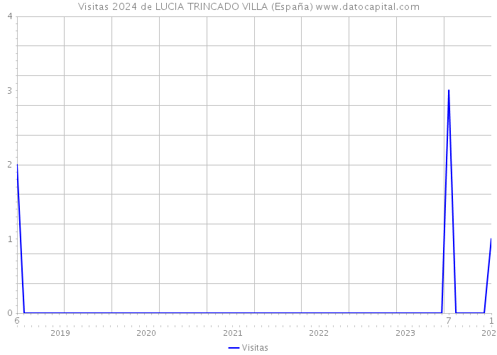 Visitas 2024 de LUCIA TRINCADO VILLA (España) 