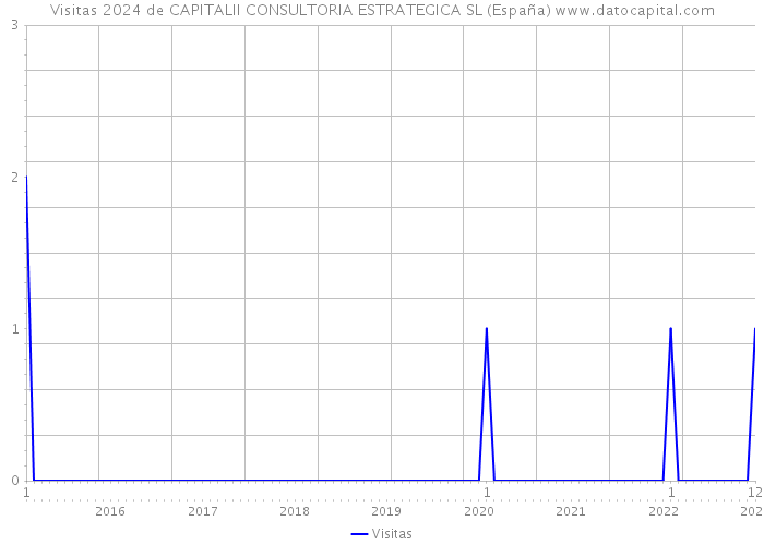 Visitas 2024 de CAPITALII CONSULTORIA ESTRATEGICA SL (España) 