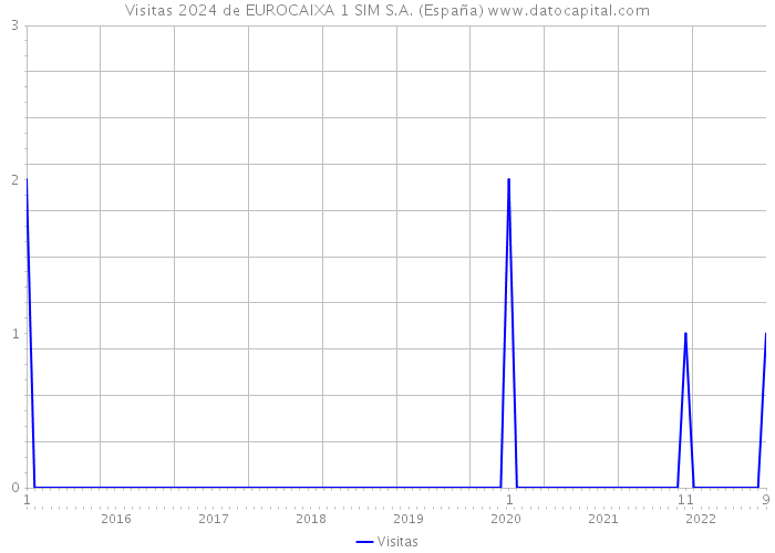 Visitas 2024 de EUROCAIXA 1 SIM S.A. (España) 