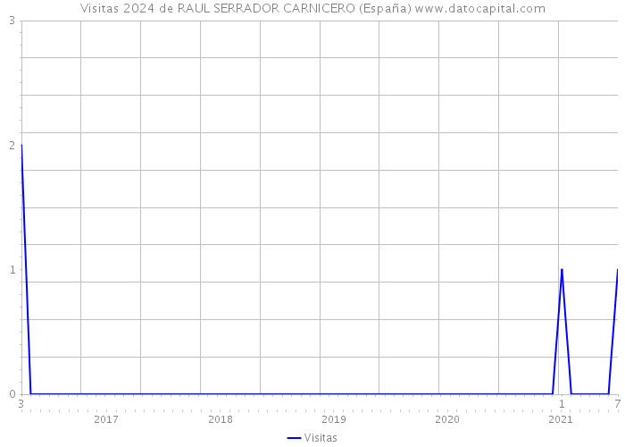 Visitas 2024 de RAUL SERRADOR CARNICERO (España) 
