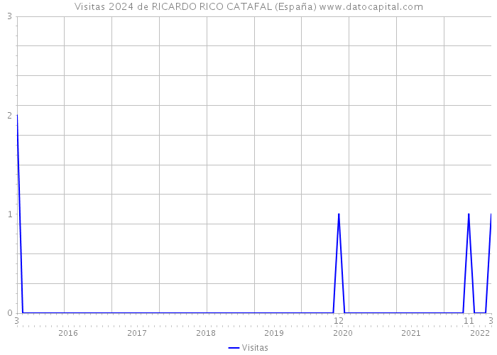 Visitas 2024 de RICARDO RICO CATAFAL (España) 