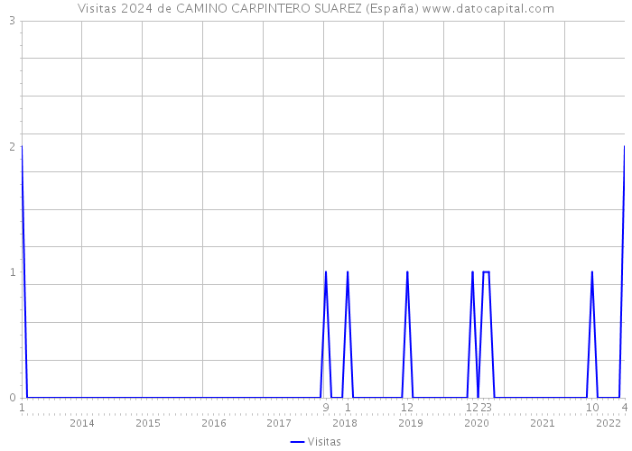Visitas 2024 de CAMINO CARPINTERO SUAREZ (España) 