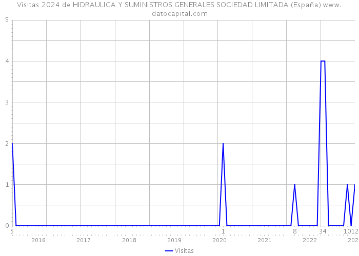 Visitas 2024 de HIDRAULICA Y SUMINISTROS GENERALES SOCIEDAD LIMITADA (España) 