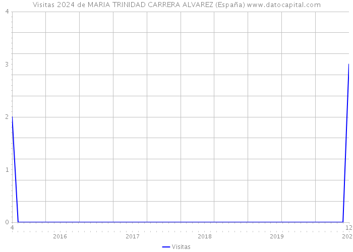 Visitas 2024 de MARIA TRINIDAD CARRERA ALVAREZ (España) 