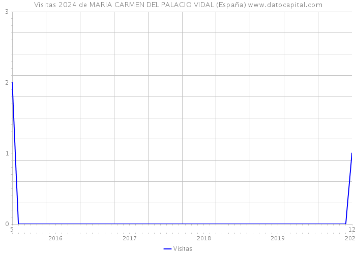Visitas 2024 de MARIA CARMEN DEL PALACIO VIDAL (España) 