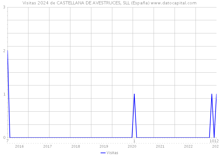 Visitas 2024 de CASTELLANA DE AVESTRUCES, SLL (España) 