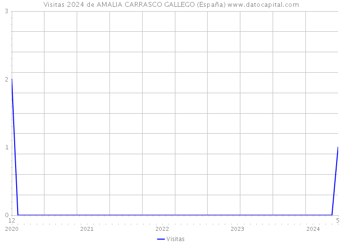Visitas 2024 de AMALIA CARRASCO GALLEGO (España) 