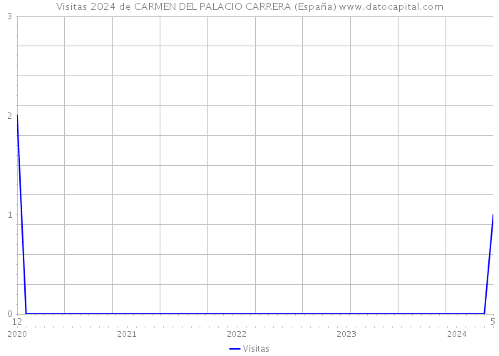 Visitas 2024 de CARMEN DEL PALACIO CARRERA (España) 