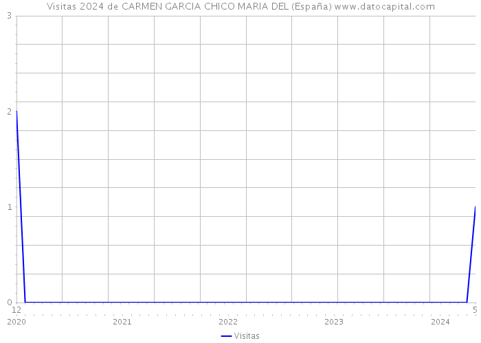 Visitas 2024 de CARMEN GARCIA CHICO MARIA DEL (España) 
