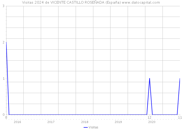 Visitas 2024 de VICENTE CASTILLO ROSEÑADA (España) 