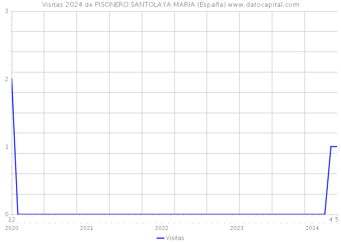Visitas 2024 de PISONERO SANTOLAYA MARIA (España) 